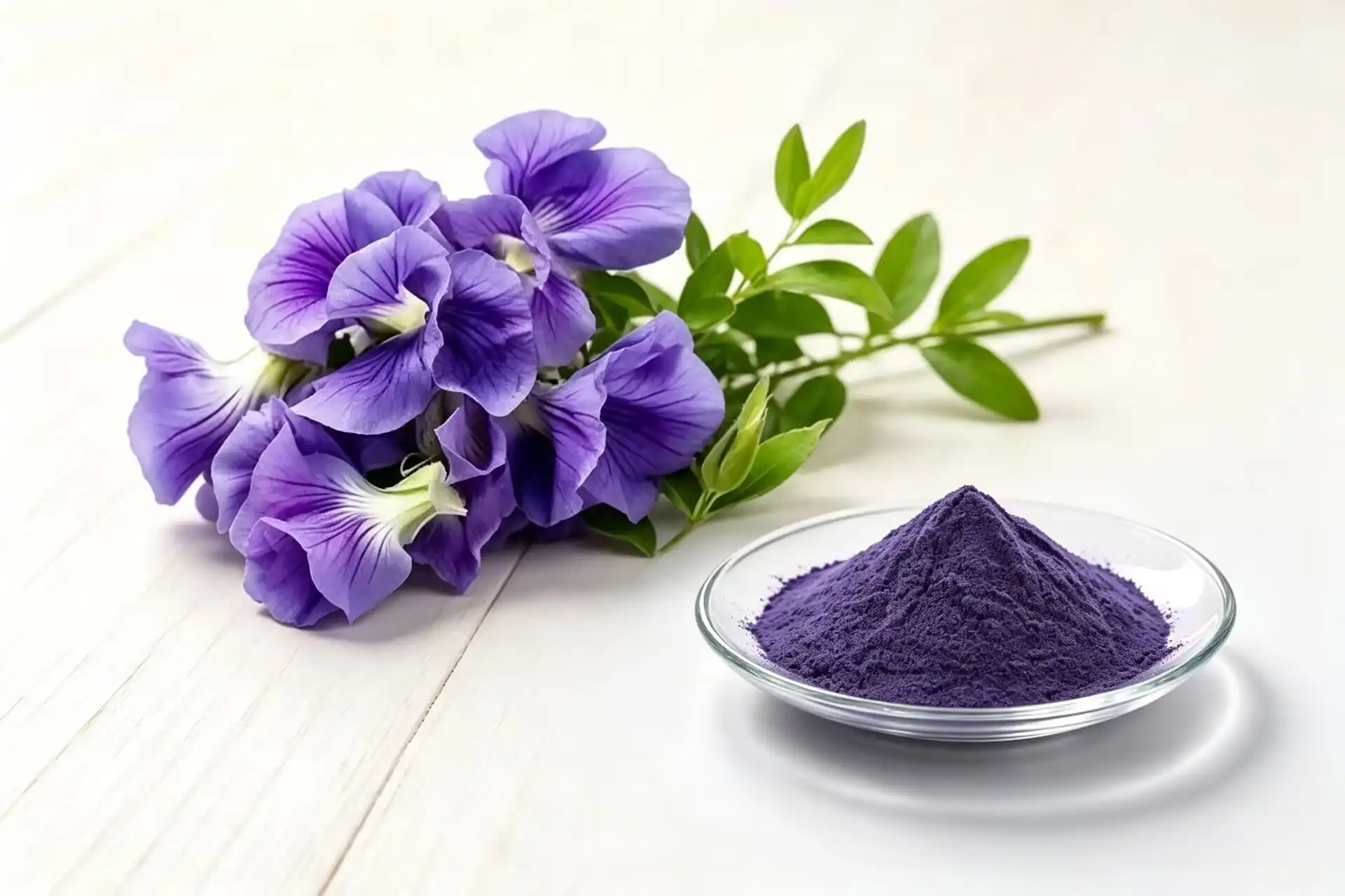 Thriving and Empowering with Traditional Butterfly Pea Flower